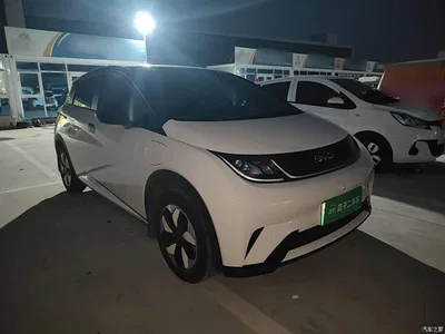 2025 BYD Dolphin 420km Freedom Edition, фото 4, лот 10689092