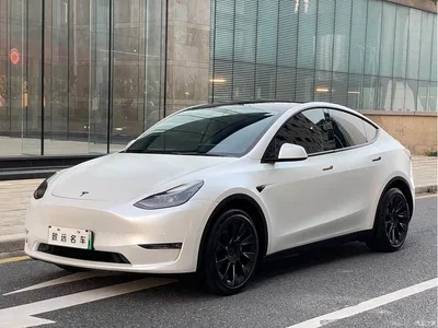2021 Tesla Model Y Standard Range Rear-Wheel Drive, фото 1, лот 11011667