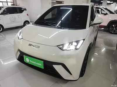 2023 BYD Seagull Freedom Edition, фото 2, лот 10260031