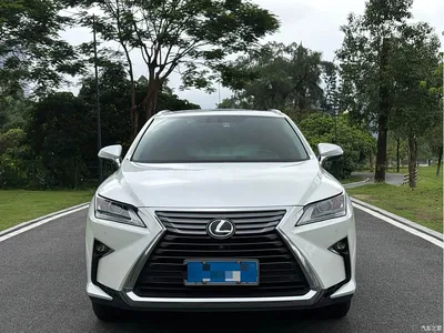 2016 Lexus RX 300 2WD Comfort Edition China V, фото 2, лот 10313904