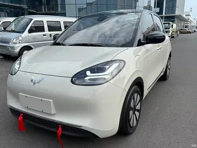 2023 Wuling Motors Wuling Bingo Model 333km Joy+ Version, фото 1, лот 10367260