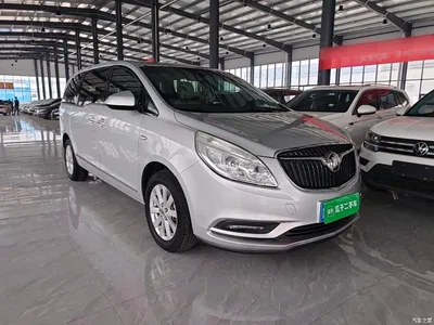 2017 Buick GL8 25S Luxury China V, фото 4, лот 11181753