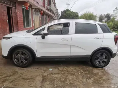2022 Geely E Firefly 401KM Delicate Tiger 4-seater, фото 3, лот 11148300