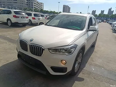2018 BMW X1 sDrive20Li Leading Model, фото 2, лот 10467753