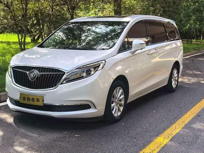 2017 Buick GL8 ES 28T Comfort Type China V, фото 2, лот 10251752