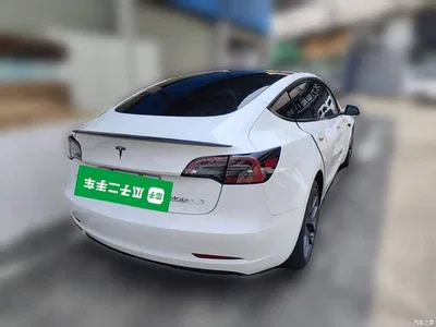 2022 Tesla Model 3 Performance High-Performance AWD, фото 4, лот 10696576