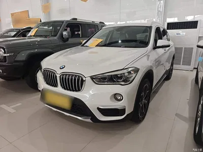 2019 BMW X1 sDrive18Li Premium Model, фото 2, лот 11191725