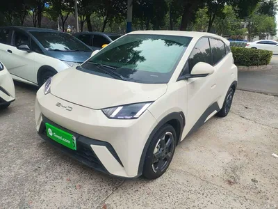 2024 BYD Seagull Glory Edition 305km Freedom Edition, фото 2, лот 10764108