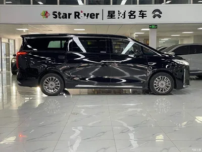 2023 WEY Alpine AWD Executive Long Wheelbase, фото 4, лот 10834056