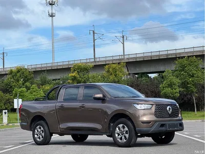 2021 Great Wall Pao 2.0T Commercial Edition Automatic Diesel 2WD Elite Long Box GW4D20M, фото 3, лот 10245863