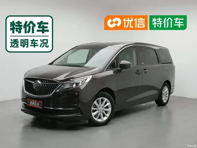 2017 Buick GL8, фото 1, лот 10245635