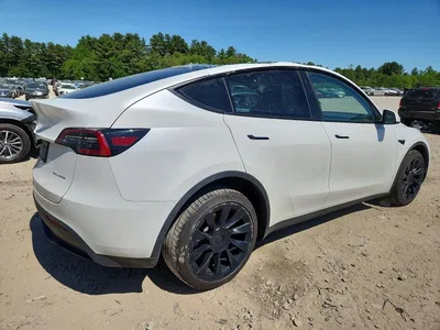 2023 TESLA MODEL Y, фото 3, лот 10851212