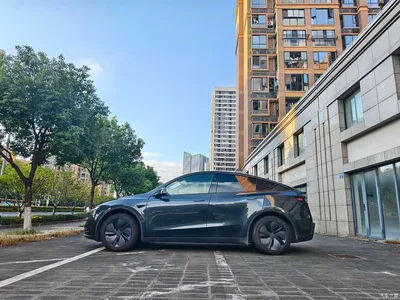 2025 Tesla Model Y Rear-Wheel Drive, фото 4, лот 10392825