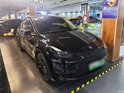 2021 Tesla Model Y Standard Range Rear-Wheel Drive, фото 4, лот 11221901