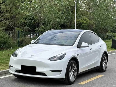 2021 Tesla Model Y Standard Range Rear-Wheel Drive, фото 1, лот 10612357