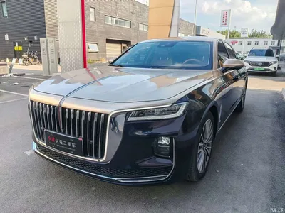 2020 Hongqi H9 2.0T Smart Connection Qi Xiang Edition, фото 1, лот 10287790