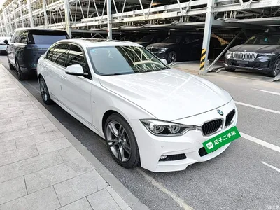2017 BMW 3 Series 320Li M Sport, фото 4, лот 10457348