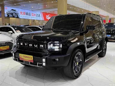 2023 Jetour Traveler Model 2.0T 4WD Cross PRO, фото 1, лот 10285255