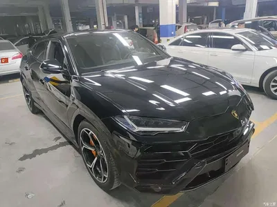 2021 Lamborghini Urus 4.0T V8, фото 3, лот 10405432