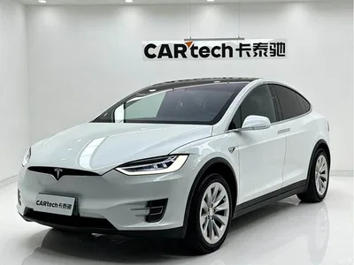 2019 Tesla Model X Performance High-performance Version, фото 1, лот 10346405