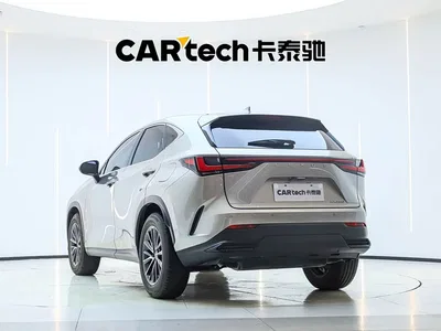 2022 Lexus NX 260 FWD Joy Creation Edition, фото 2, лот 10436454