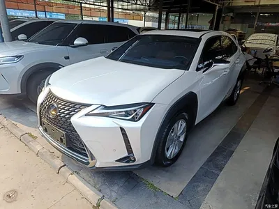2020 Lexus UX 260h Explore Fun Edition, фото 1, лот 10319195