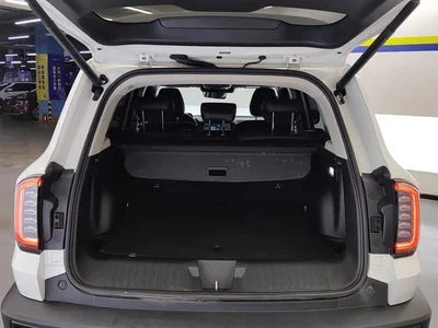 2021 Haval Big Dog 2.0T DCT 4WD Chinese Rural Dog Edition, фото 4, лот 10361709