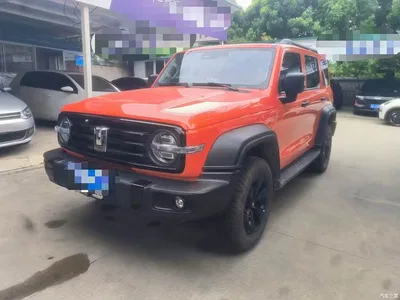 2021 Tank 300 Off-road Version 2.0T Conqueror, фото 1, лот 10344797
