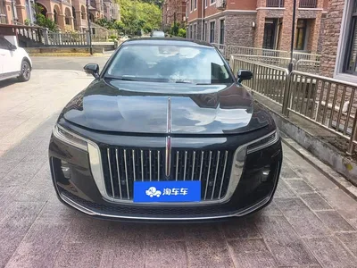 2020 Hongqi H9 2.0T Smart Connection Qi Xiang Edition, фото 2, лот 11135064