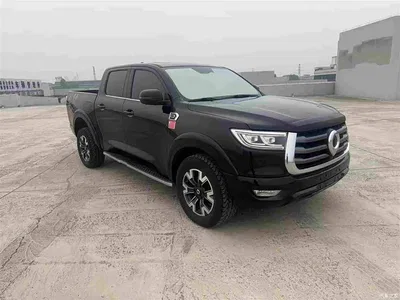 2021 Great Wall Pao 2.0T Passenger Global Edition Automatic Diesel 4WD Comfort Standard Box GW4D20M, фото 3, лот 10246264
