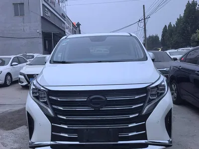 2021 GAC Trumpchi Trumpchi M8 Leading Show Series 390T Ultimate Edition, фото 2, лот 10898641