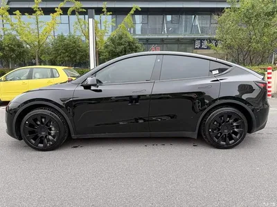 2023 Tesla Model Y Rear-Wheel Drive Edition, фото 3, лот 11089212