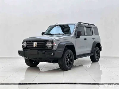 2025 Tank 300 2.0T Challenger, фото 1, лот 10812506