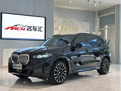 2025 BMW X5 Model xDrive 40Li M Sport Blackout Package, фото 1, лот 10889546