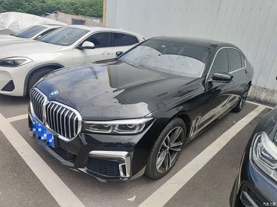2019 BMW 7 Series Facelift 730Li M Sport Package, фото 1, лот 10458938