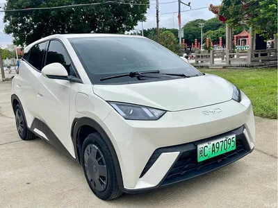 2024 BYD Seagull Glory Edition 305km Vitality Edition, фото 3, лот 10256866