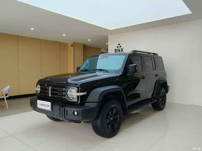 2021 Tank 300 Off-road Edition 2.0T Challenger, фото 1, лот 10390974
