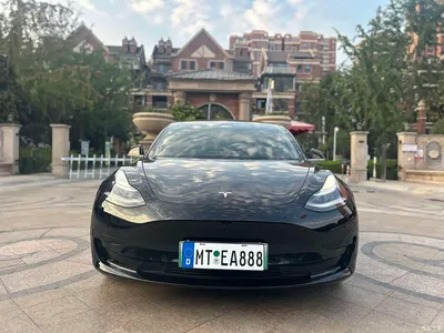 2020 Tesla Model 3 Standard Range Rear-Wheel Drive Upgrade, фото 1, лот 10450254