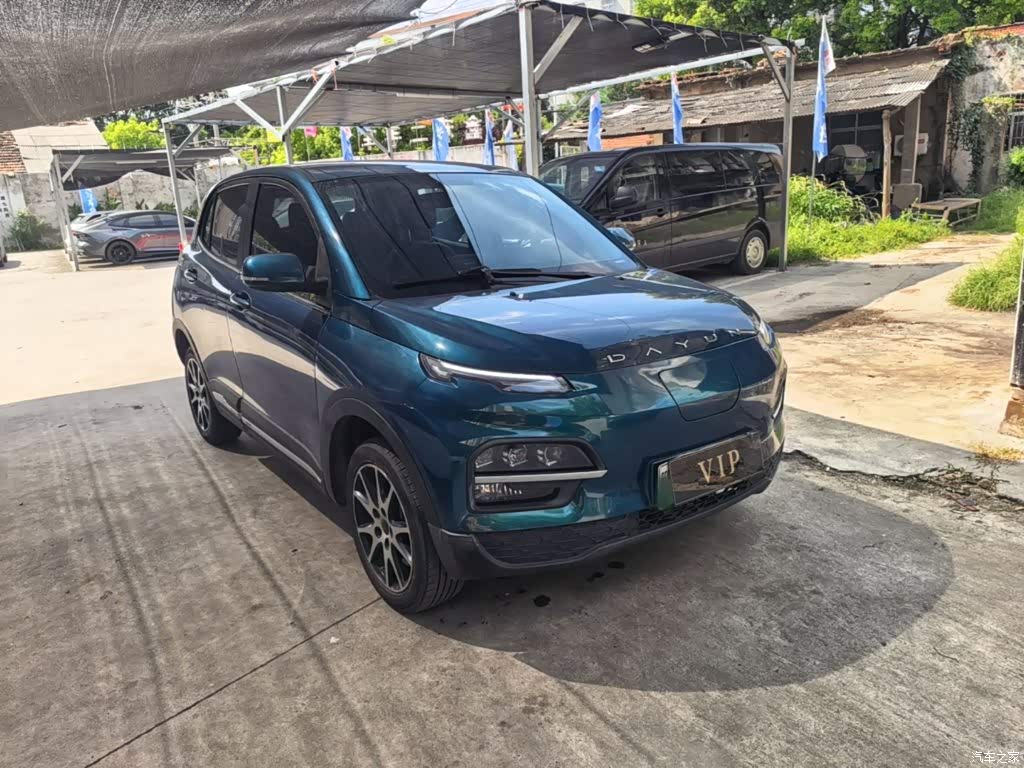 2022 Dayun Yuehu 30.66kWh 2WD VIP Edition, фото 4, лот 10409834