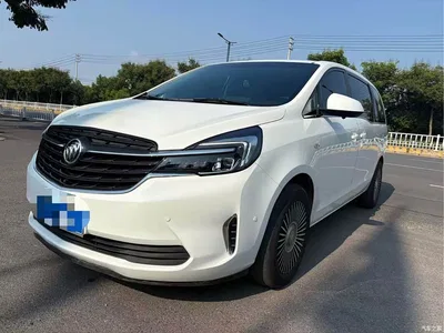 2021 Buick GL8 Land Business Class 652T Comfort, фото 1, лот 10256086