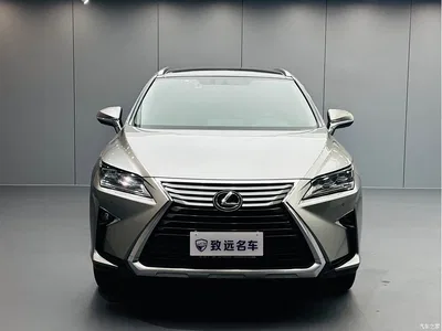 2016 Lexus RX 300 4WD Elegance Edition China VI, фото 2, лот 10312389