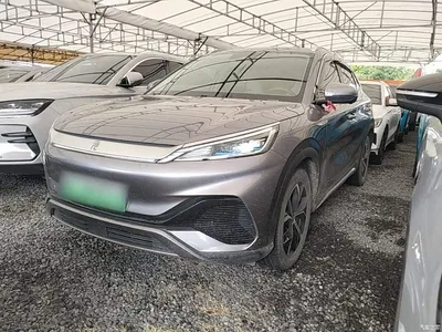 2023 BYD Yuan PLUS Champion Edition 430KM Surpassing Type, фото 2, лот 10265319