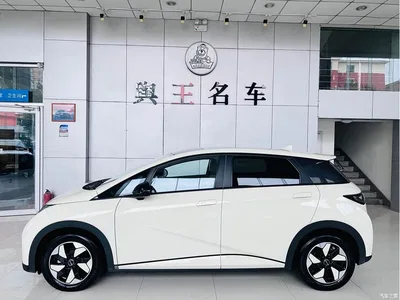 2024 BYD Dolphin Glory Edition 420km Fashion Edition, фото 4, лот 11544587