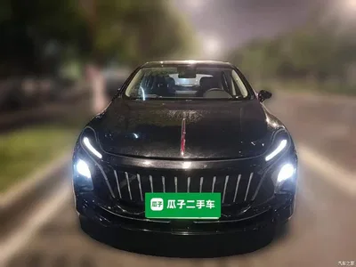 2021 Hongqi E-QM5 Ride-hailing Charging T3 Edition 4-seater, фото 2, лот 11242701