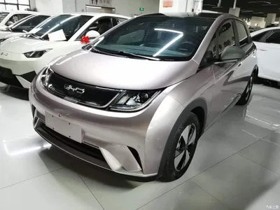2023 BYD Dolphin 420km Fashion Edition, фото 2, лот 10593591