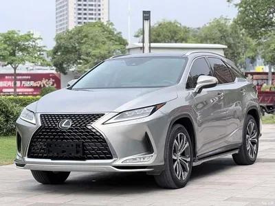 2020 Lexus RX 300 AWD Elegance Edition China V, фото 1, лот 10316232