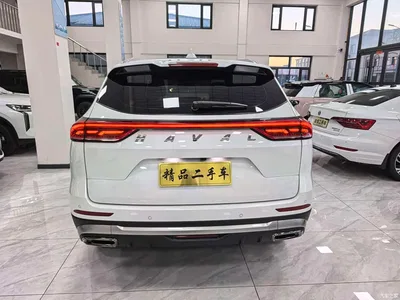 2021 Haval H6 1.5GDIT Automatic Champion Edition, фото 4, лот 11569812