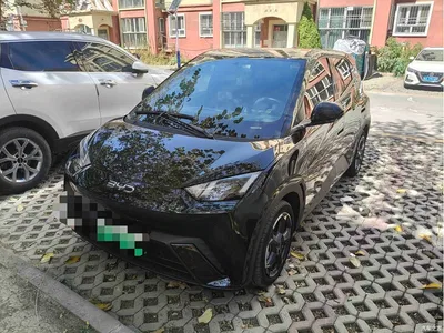 2024 BYD Seagull Glory Edition 405km Soaring Edition, фото 1, лот 11475943