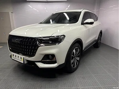 2023 Haval H6 National Trend Edition 1.5T Automatic Champion, фото 1, лот 10282916