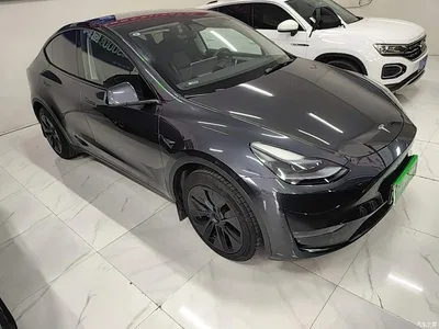 2024 Tesla Model Y Long Range AWD, фото 4, лот 10369836